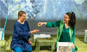 Linkki tapahtumaan Teatteri Ilmi Ö: Metsämosaiikki – Vaippakansan karnevaalit